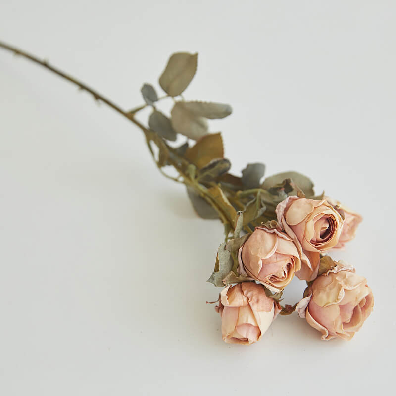 rose flowers bouquet