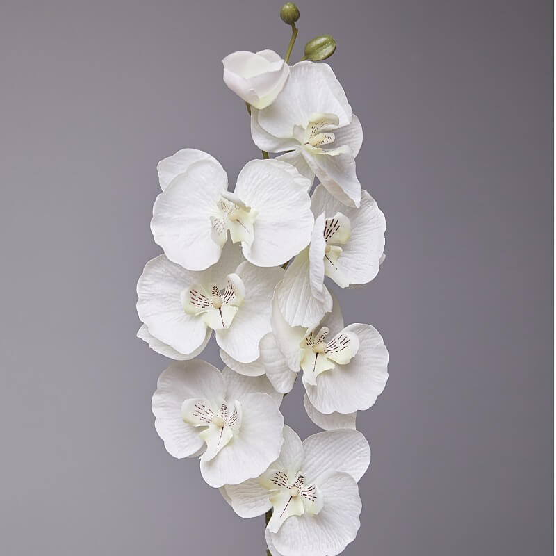 Artificial White Phalaenopsis Orchids Flowers