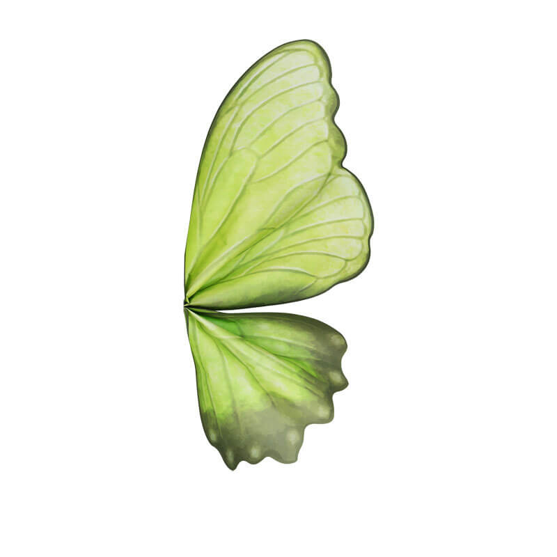 Butterfly Wing Wrapping Paper
