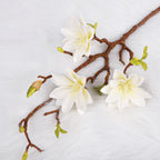 magnolia silk flowers