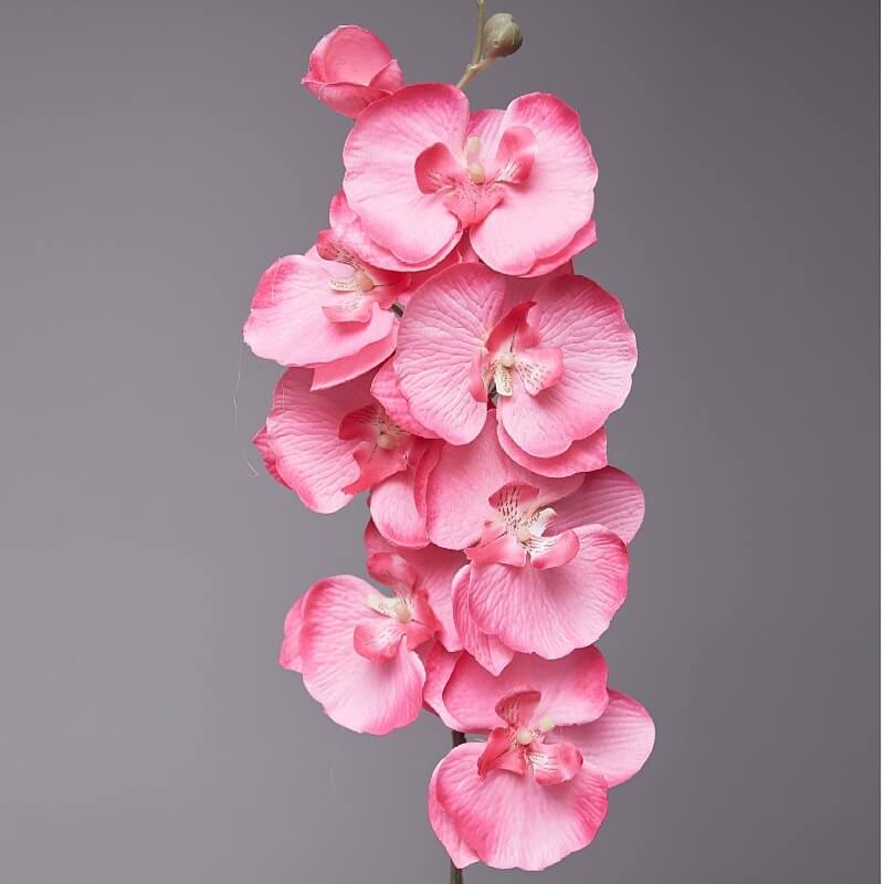 Artificial White Phalaenopsis Orchids Flowers