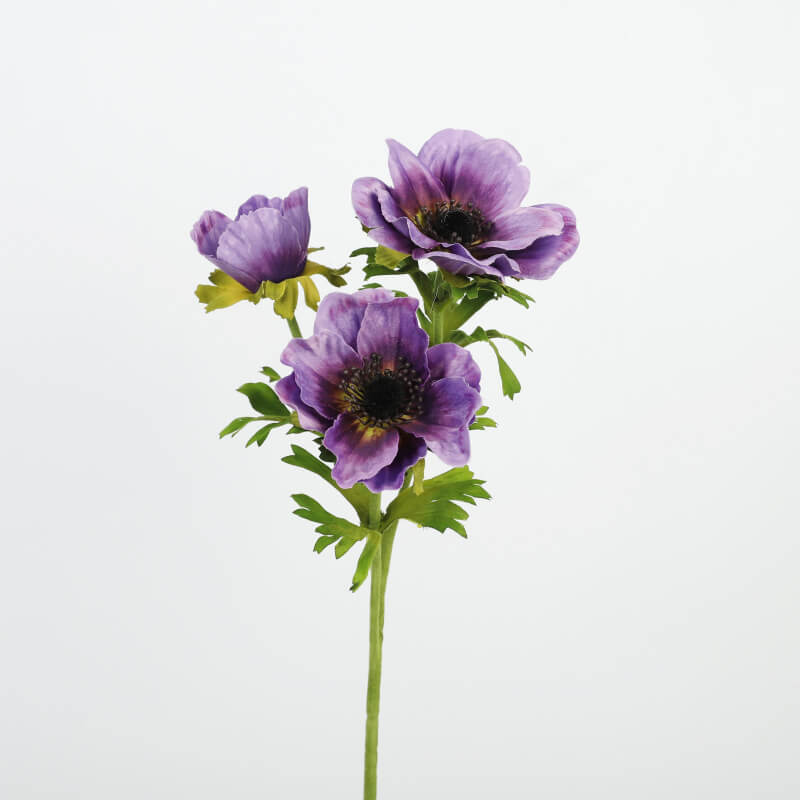 anemone floral arrangements