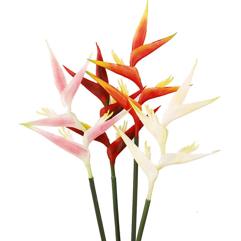 fake birds of paradise