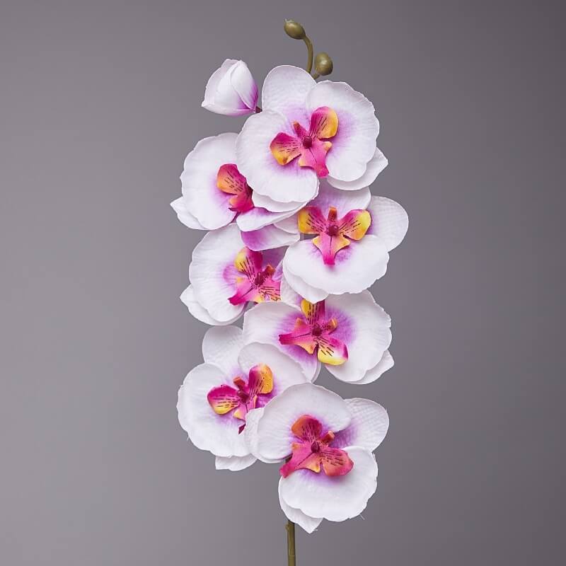 fake phalaenopsis orchids