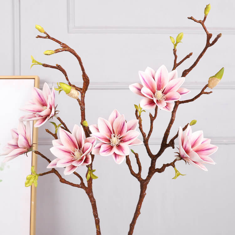 red magnolia