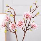 red magnolia