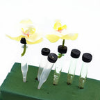 floral water tubes