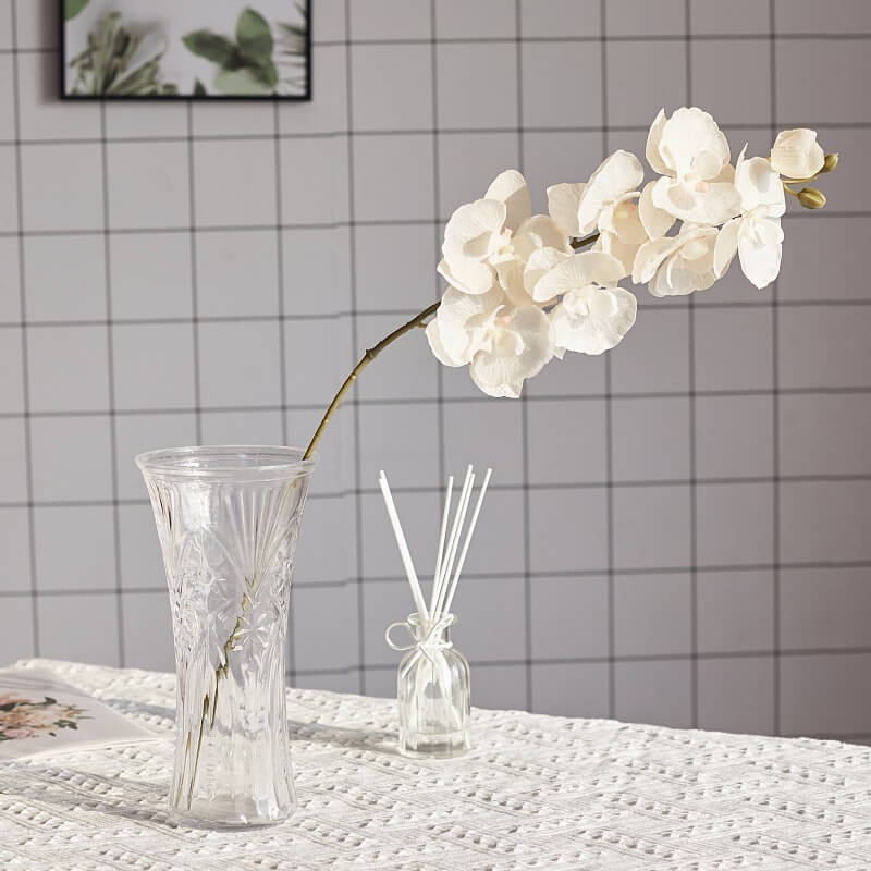 white phalaenopsis orchids