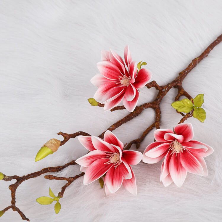 red magnolia
