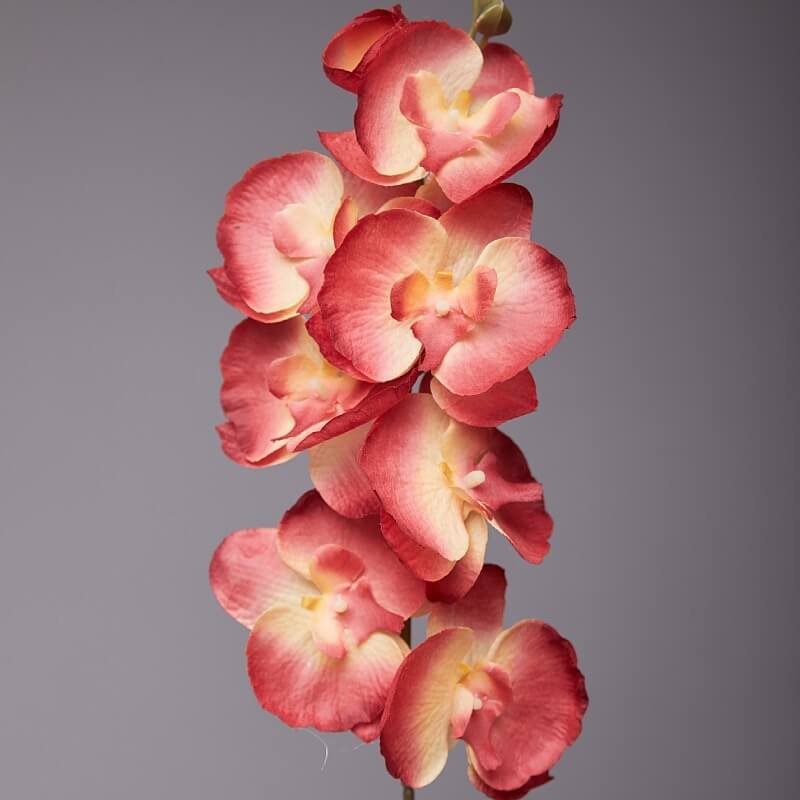 Artificial White Phalaenopsis Orchids Flowers