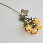 flower roses bouquet