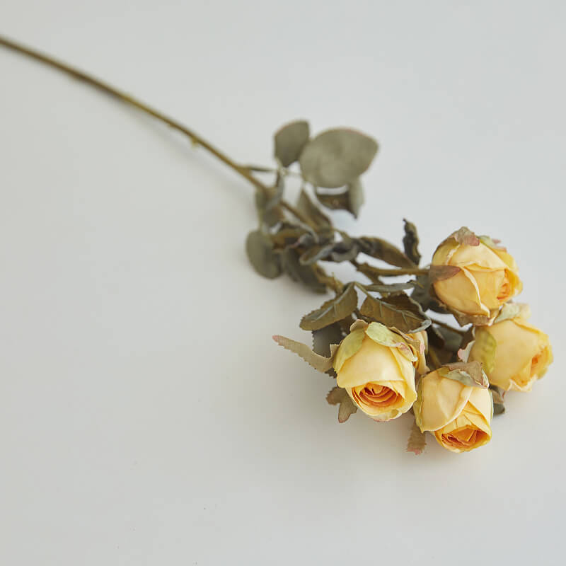flower roses bouquet