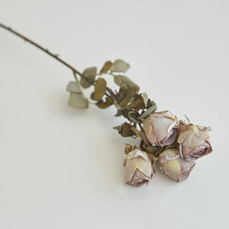bouquets of roses