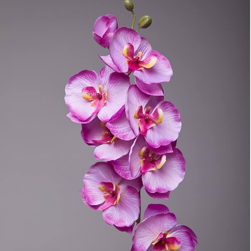 Artificial White Phalaenopsis Orchids Flowers