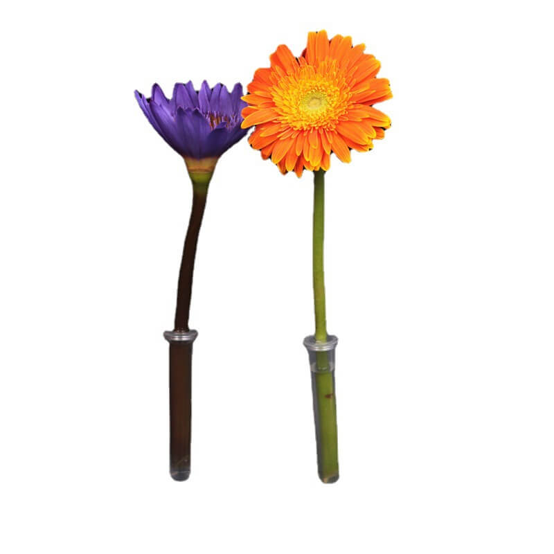 water tubes floral design