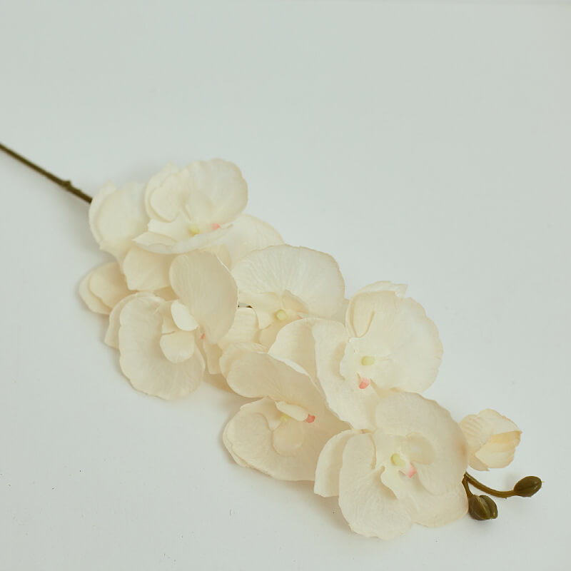 Artificial White Phalaenopsis Orchids Flowers