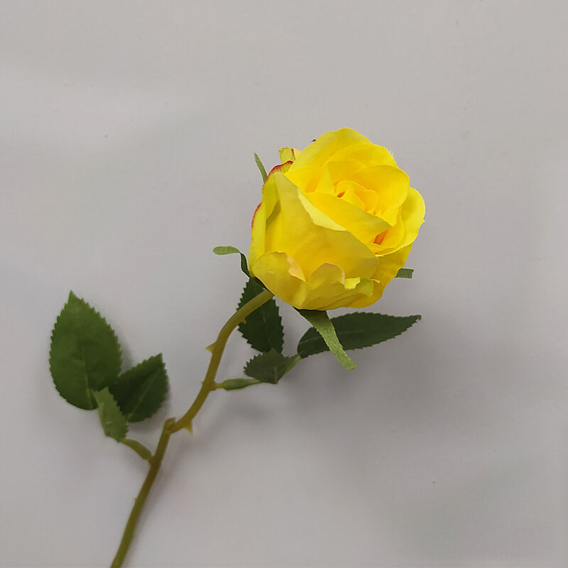 realistic roses
