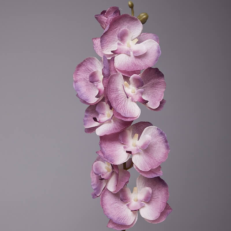 Artificial White Phalaenopsis Orchids Flowers