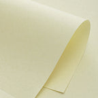 Dark Textured Art Paper, 21.3 × 13.8 Inch, 8 Sheets