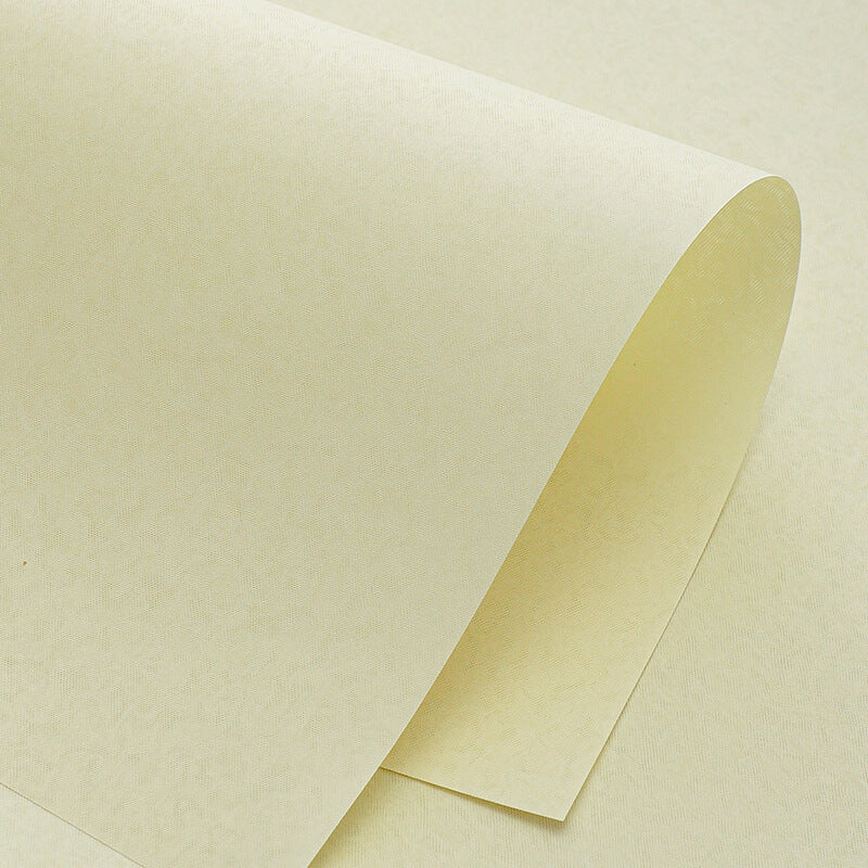 Dark Textured Art Paper, 21.3 × 13.8 Inch, 8 Sheets