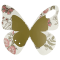 Butterfly Carrying Cards