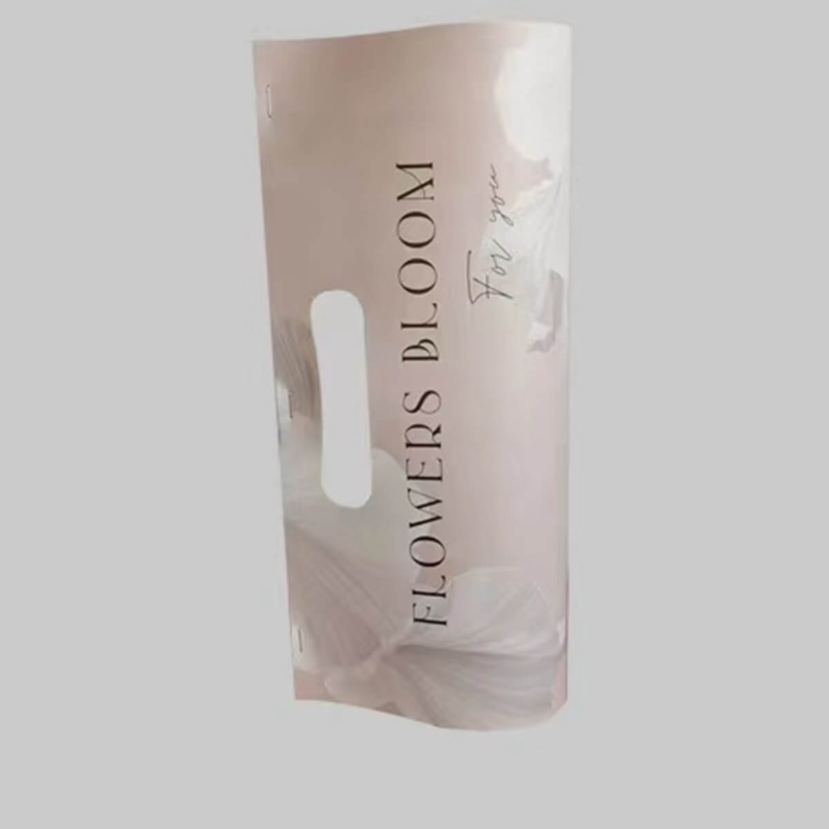 Paper Carrying Bag, 5.9 × 11.8 Inch