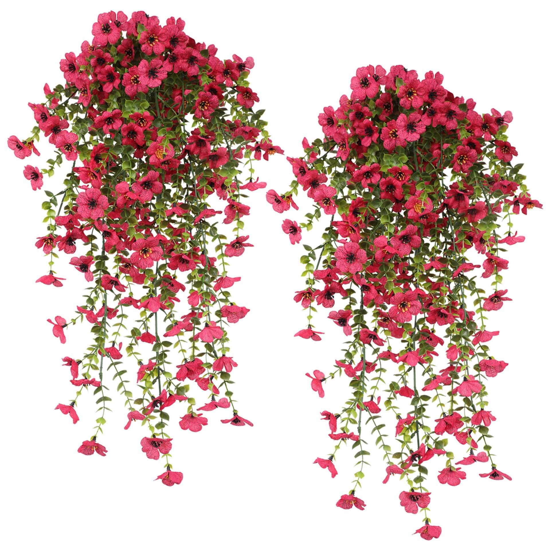 hanging dried flowers
