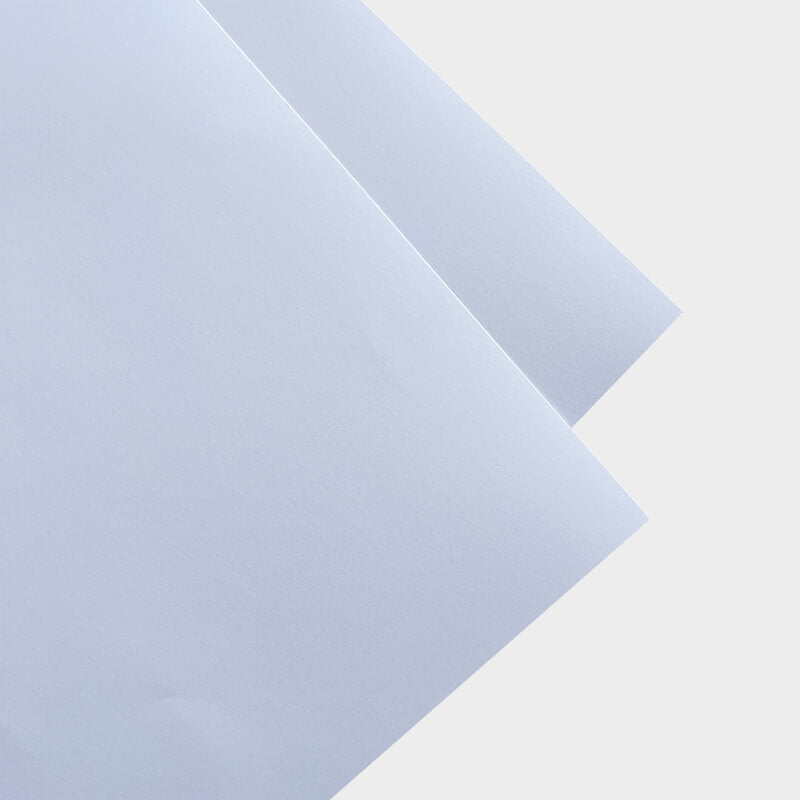 Stiff Flower Wrapping Paper, 16.9''x22.8'', 10 Sheets