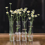 hydroponic glass vase