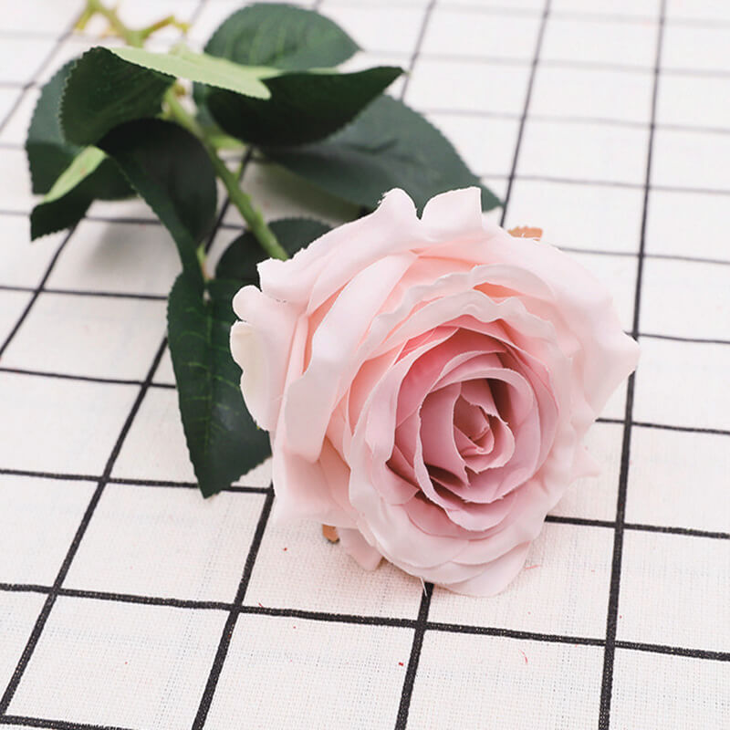 roses with stem