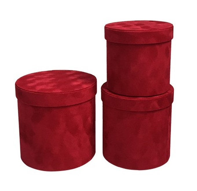Red Flower Box Roses