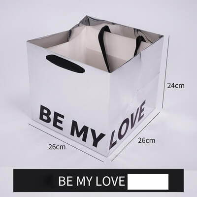 the paper bag 